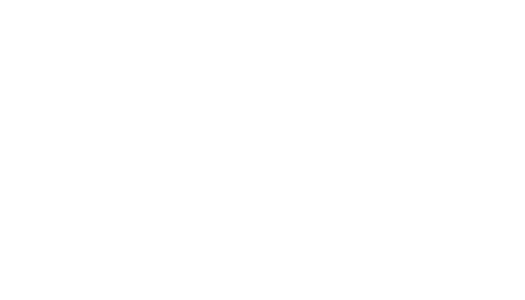 Leonardo Liniker Lopes, Advocacia e Consultoria Jurídica